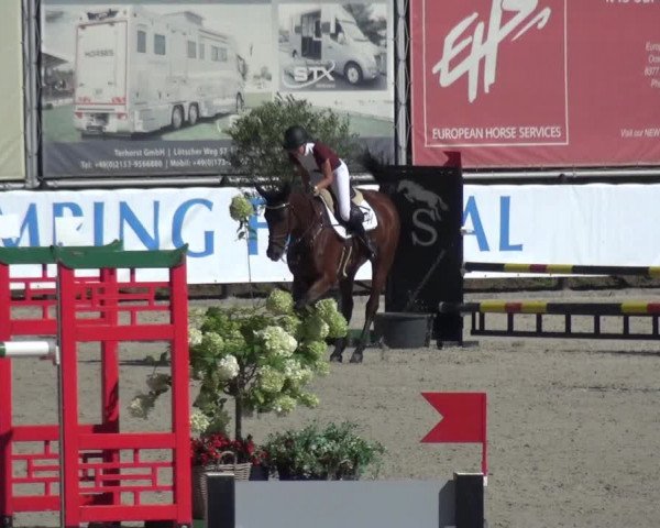 FEI Reitturnier Eschweiler (GER) 2020