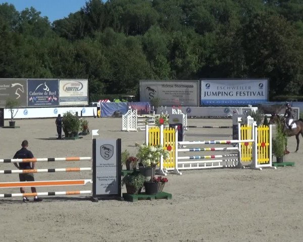 FEI Reitturnier Eschweiler (GER) 2020