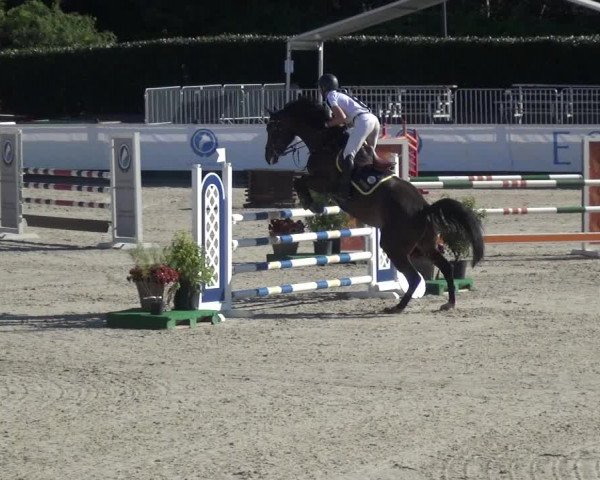 FEI Reitturnier Eschweiler (GER) 2020