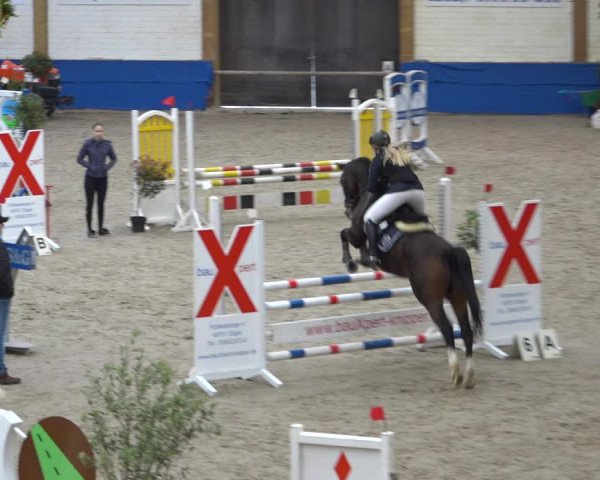 Reitturnier Sögel 2021