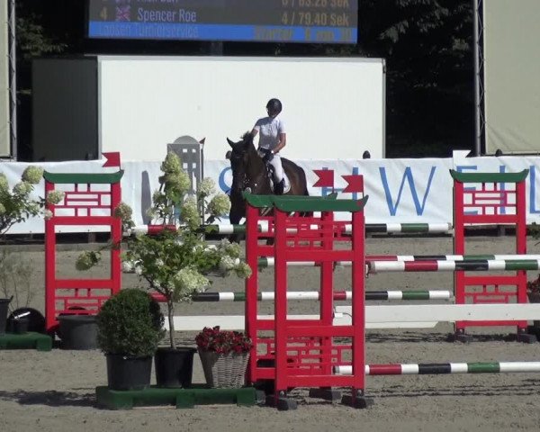 FEI Reitturnier Eschweiler (GER) 2020