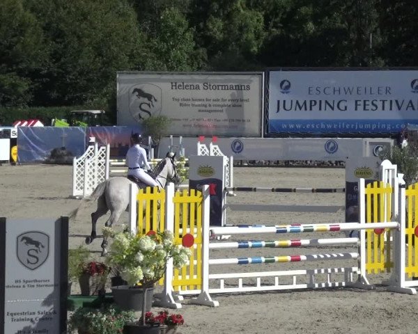 FEI Reitturnier Eschweiler (GER) 2020