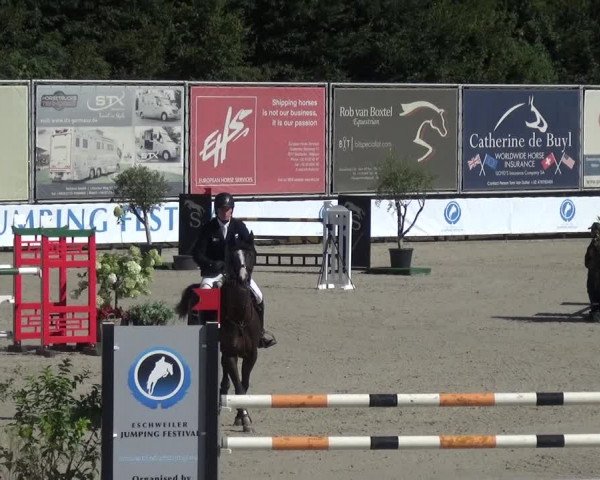 FEI Reitturnier Eschweiler (GER) 2020