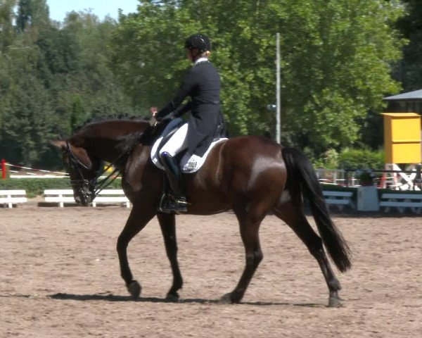 Reitturnier Hamm-Rhynern 2020