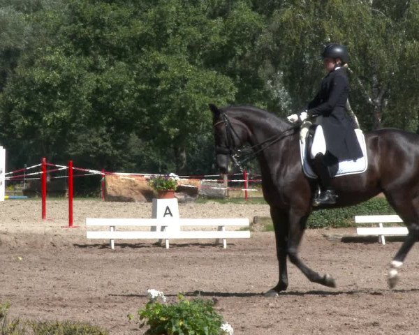 Reitturnier Hamm-Rhynern 2020