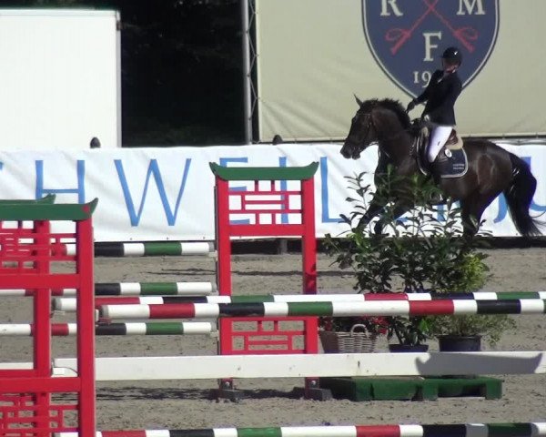 FEI Reitturnier Eschweiler (GER) 2020
