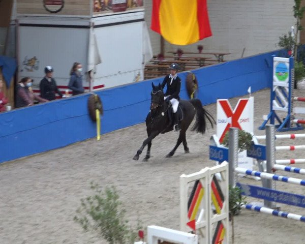 Reitturnier Sögel 2021