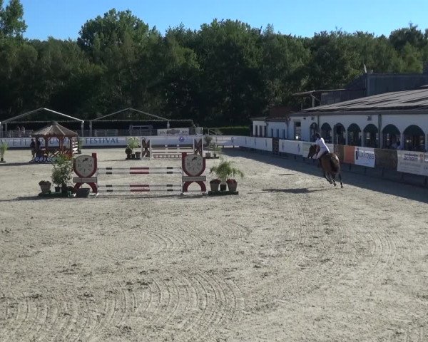 FEI Reitturnier Eschweiler (GER) 2020