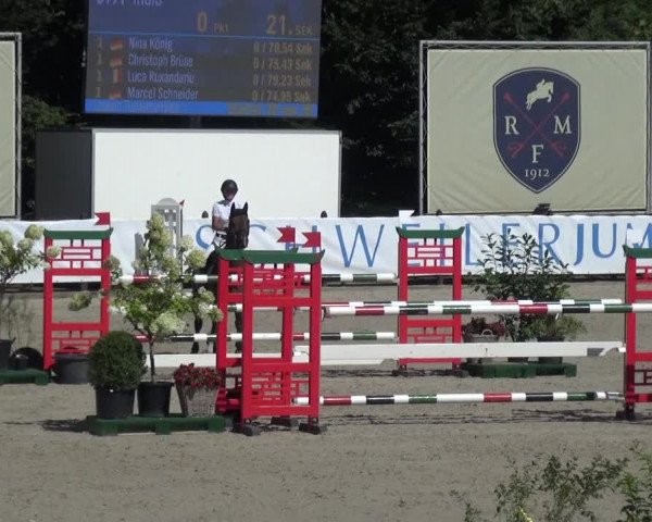 FEI Reitturnier Eschweiler (GER) 2020