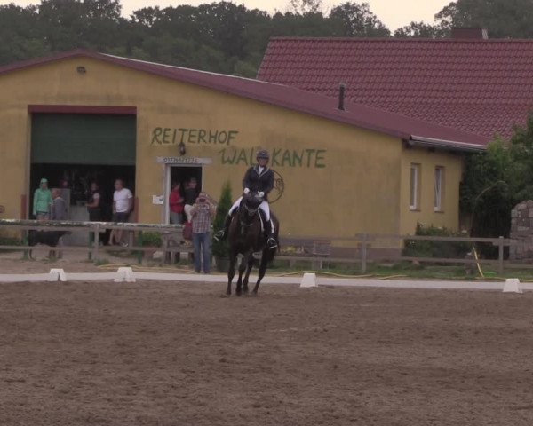 Reitturnier Altlandsberg 2020