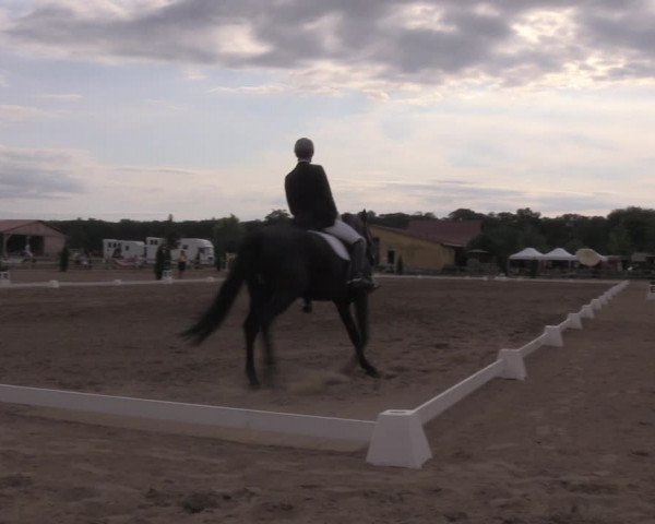 Reitturnier Altlandsberg 2020