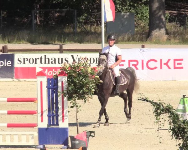 Reitturnier Westergellersen 2020