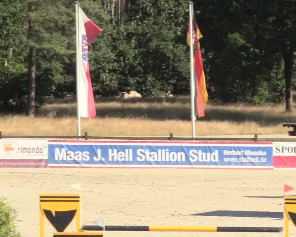 Reitturnier Westergellersen 2020