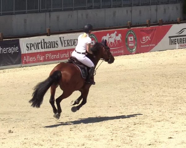 Reitturnier Westergellersen 2020