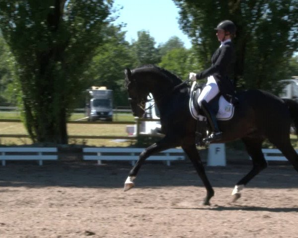 Reitturnier Hamm-Rhynern 2020