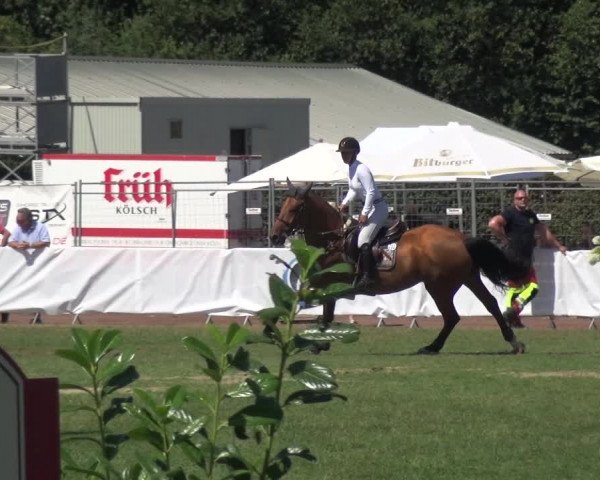 FEI Reitturnier Eschweiler (GER) 2020