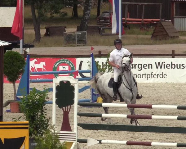 Reitturnier Westergellersen 2020