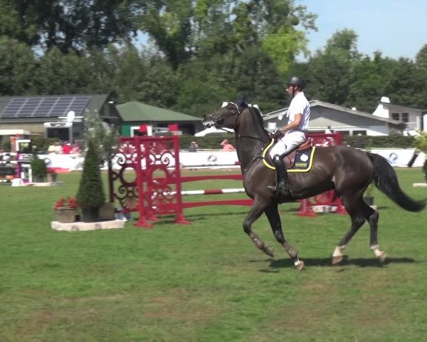 FEI Reitturnier Eschweiler (GER) 2020