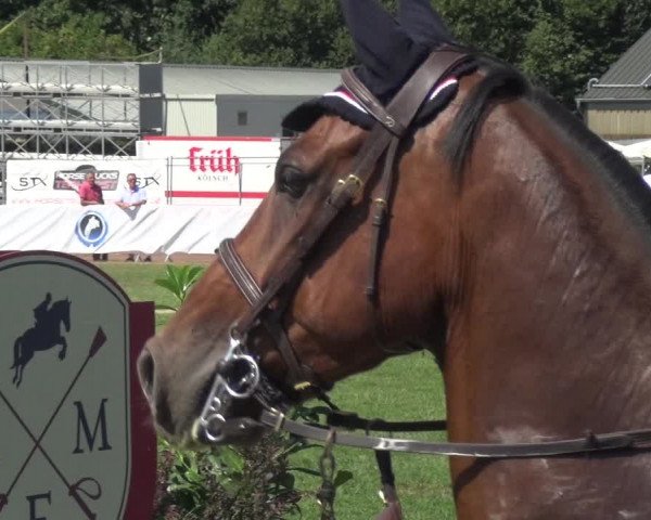 FEI Reitturnier Eschweiler (GER) 2020