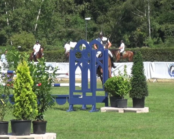 FEI Reitturnier Eschweiler (GER) 2020