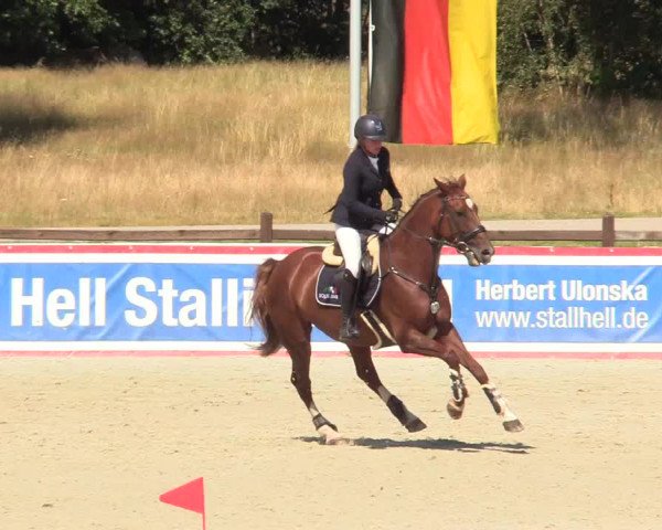 Reitturnier Westergellersen 2020