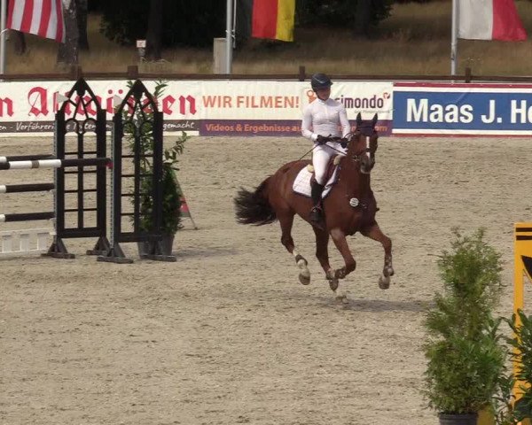Reitturnier Westergellersen 2020