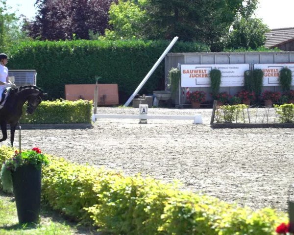Reitturnier Olfen-Vinnum 2020