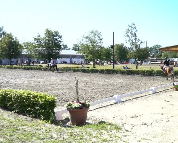 Reitturnier Olfen-Vinnum 2020