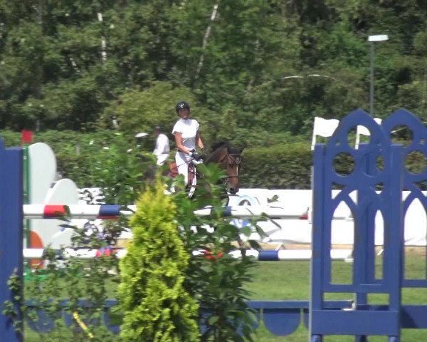 FEI Reitturnier Eschweiler (GER) 2020