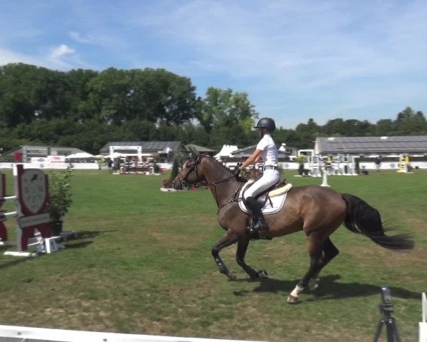 FEI Reitturnier Eschweiler (GER) 2020