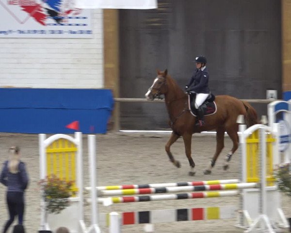Reitturnier Sögel 2021