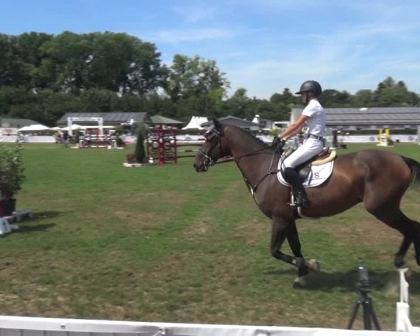 FEI Reitturnier Eschweiler (GER) 2020