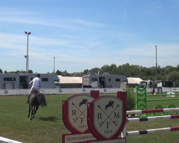 FEI Reitturnier Eschweiler (GER) 2020