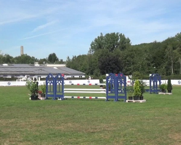 FEI Reitturnier Eschweiler (GER) 2020