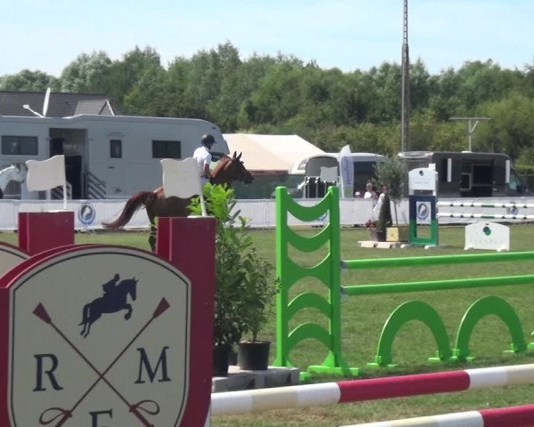 FEI Reitturnier Eschweiler (GER) 2020