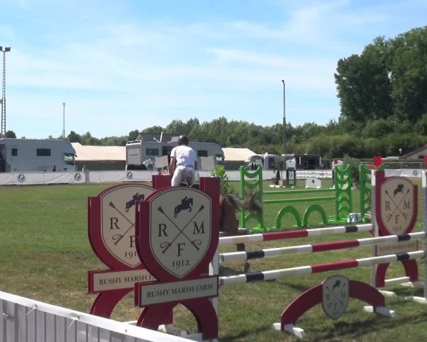 FEI Reitturnier Eschweiler (GER) 2020