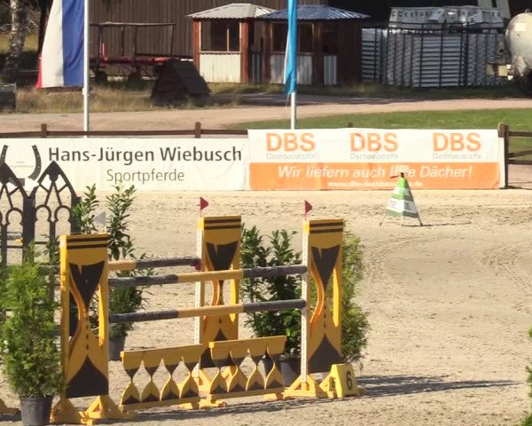 Reitturnier Westergellersen 2020