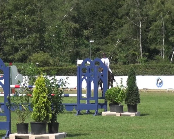 FEI Reitturnier Eschweiler (GER) 2020