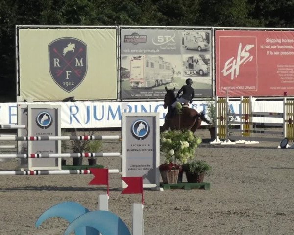 FEI Reitturnier Eschweiler (GER) 2020