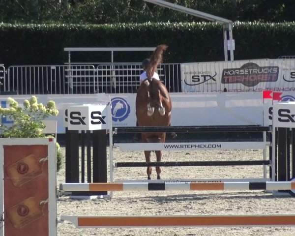 FEI Reitturnier Eschweiler (GER) 2020