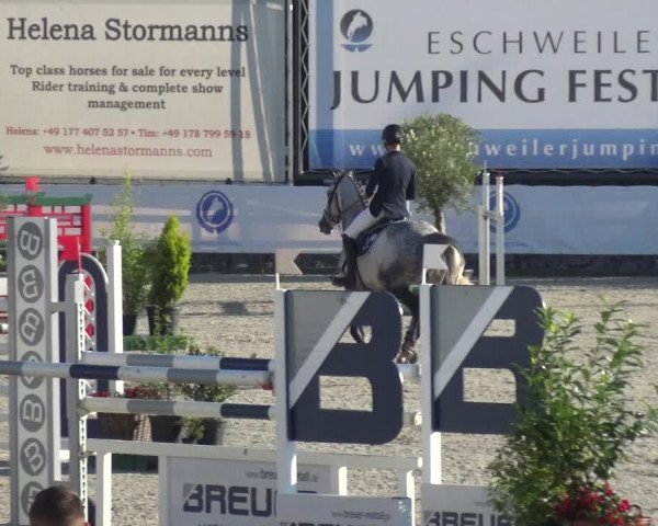 FEI Reitturnier Eschweiler (GER) 2020