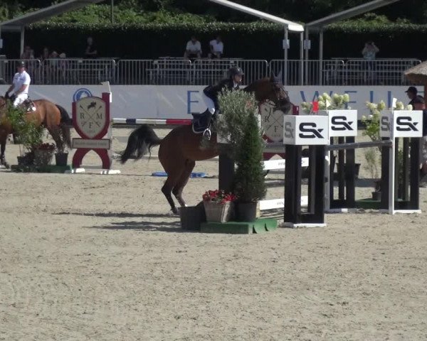 FEI Reitturnier Eschweiler (GER) 2020