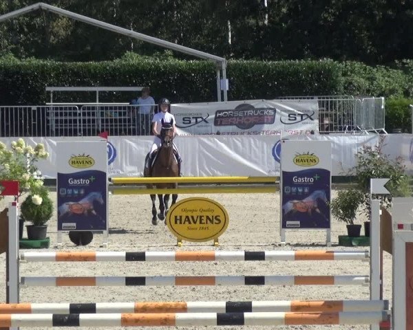 FEI Reitturnier Eschweiler (GER) 2020