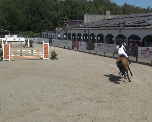 FEI Reitturnier Eschweiler (GER) 2020