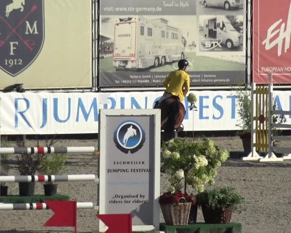 FEI Reitturnier Eschweiler (GER) 2020