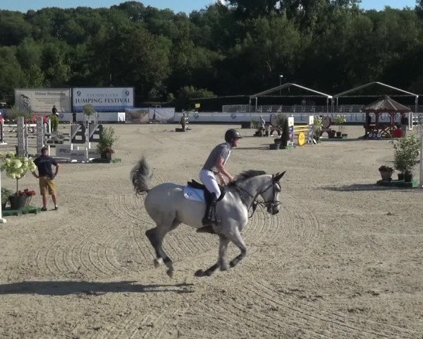 FEI Reitturnier Eschweiler (GER) 2020