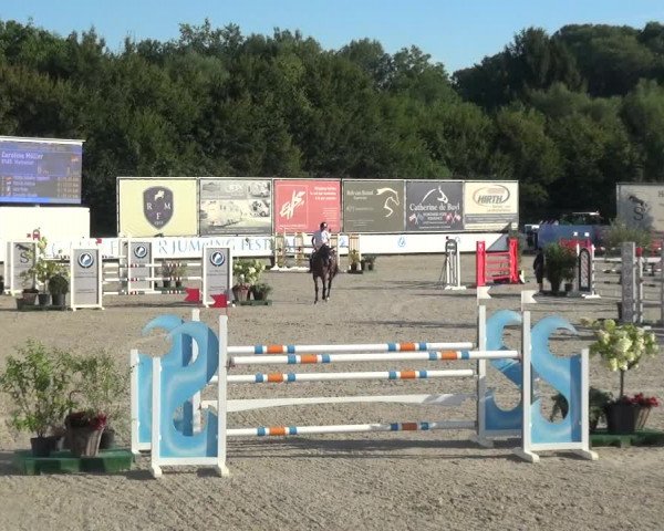 FEI Reitturnier Eschweiler (GER) 2020