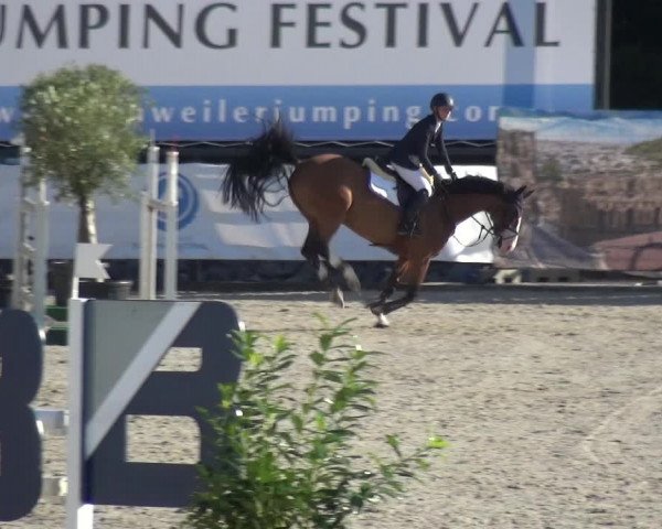 FEI Reitturnier Eschweiler (GER) 2020