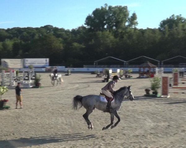 FEI Reitturnier Eschweiler (GER) 2020