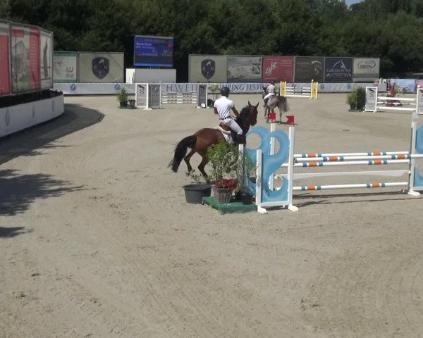 FEI Reitturnier Eschweiler (GER) 2020